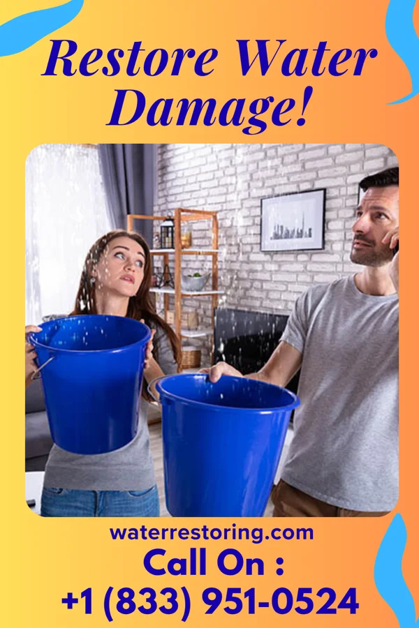 water restoration Prestige Sewage Cleanup Company Breckenridge