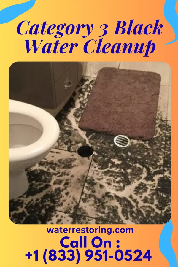 Category 3 Black Water Cleanup in Breckenridge, TX